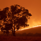 Fires in Canberra, Australia - February 1, 2020